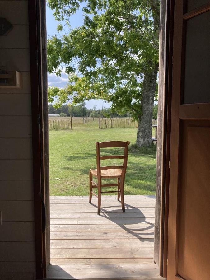 Gite Au Coeur Des Landes Lue エクステリア 写真